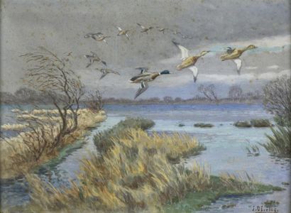 Joseph OBERTHUR (1872-1956) Colverts en vol au-dessus d'un étang
Aquarelle signée...