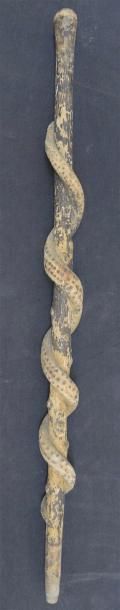 null Canne de poilu en bois sculpté à décor d'un serpent s'enroulant L. 92 cm Us...