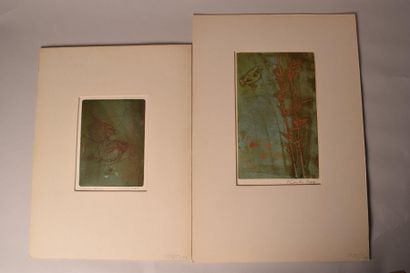 null Kaïko MOTI (1921-1989)

Poissons ; Poussin

Sute de deux lithographies en couleur,...