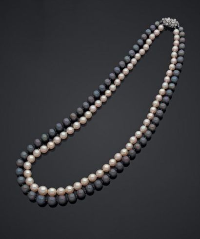 null Collier de soixante-et-une et soixante-trois perles de culture grises et blanches...