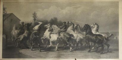 null D'après Rosa BONHEUR (1822 - 1899) Marché aux chevaux Gravure sur cuivre de...