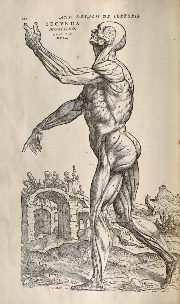 VESALE (Andréas) DE HUMANI CORPORIS FABRICA. BÂLE, Jean OPORIN, 1555. Un volume,...