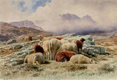 Auguste François Bonheur (1824-1884) Moutons dans la montagne
Aquarelle sur papier,...