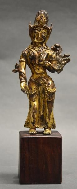 Art d'Asie TIBET - XVIIIe siècle Statuette de Padmapani en bronze doré, debout en...