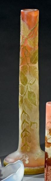 Établissements GALLÉ (1904-1936) Érable Negundo
Spectaculaire vase oignon, la base...