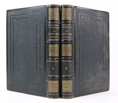 GRANDVILLE. LES FLEURS ANIMÉES. Paris, Garnier, 1867.
2 volumes in-8, demi chagrin...