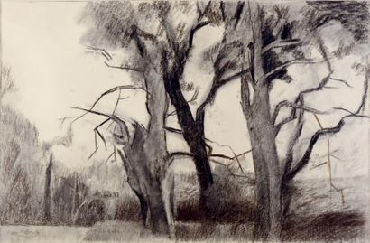 Pierre PELLOUX (1903-1975) Paysage aux grands arbres, 1964
Dessin au fusain, signé...