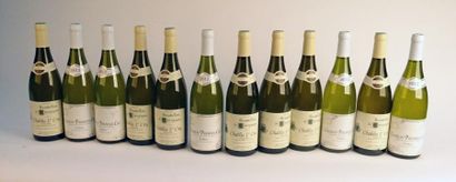 null 12 B CHABLIS VAILLONS (1er Cru) Raoul Gautherin 2012