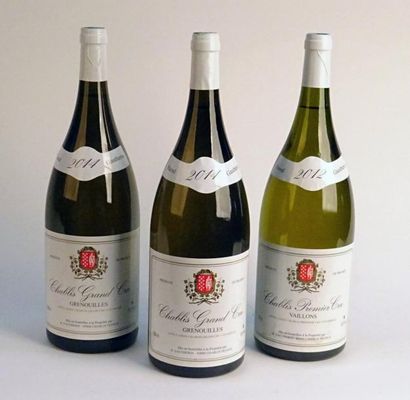 null 2 Mag CHABLIS GRENOUILLES (Grand Cru) Raoul Gautherin 2014
1 Mag CHABLIS VAILLONS...