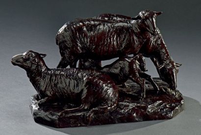 Georges GARDET (1863-1939) Moutons
Bronze à patine brune, signé sur la terrasse.
H....