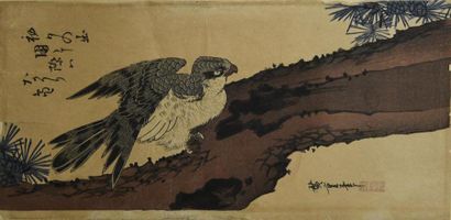 null JAPON - XIXe - XXe siècle Courtisane, estampe en couleurs, H. 36 cm L. 24 cm...