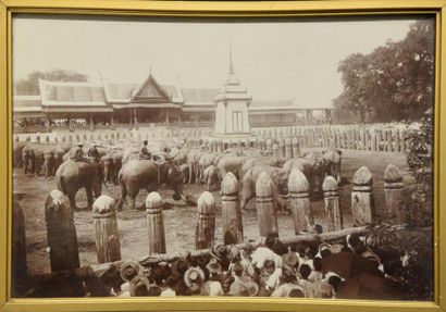 SIAM (Thaïlande)
Chasse aux éléphants au...