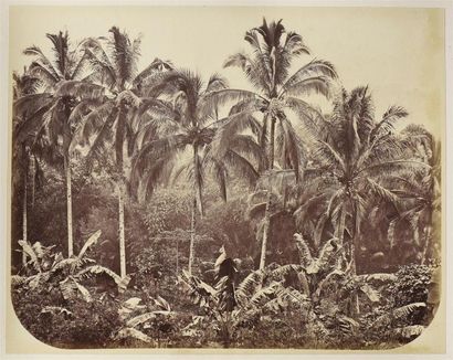 null JAVA, Péninsule de MALACCA, 1877 (Singapour, Indonésie, Malaisie)
Rare et très...