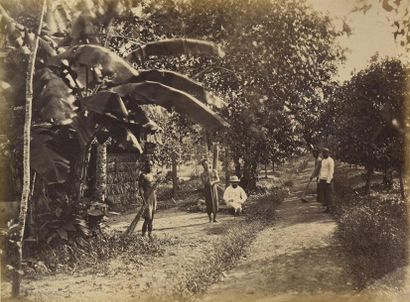 null JAVA, Péninsule de MALACCA, 1877 (Singapour, Indonésie, Malaisie)
Rare et très...
