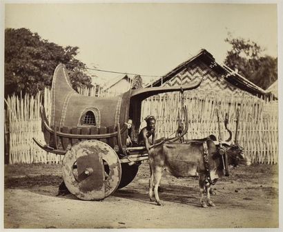 null BIRMANIE, COCHINCHINE 1877 (Myanmar, Cambodge, Vietnam)
Bel album in-folio réunissant...