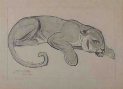 null Paul JOUVE (1878-1973) Lionne allongée Fusain sur papier, encadré sous verre...