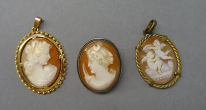 null Trois camées coquilles montés en broche ou pendentif : le premier représentant...