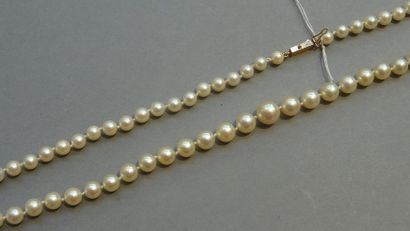 Bijoux - Joaillerie Collier de perles de culure en chute, le fermoir rectangulaire...