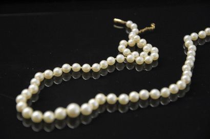 Bijoux - Joaillerie Collier de perles de culture, le fermoir en or jaune 18K (750/°°)....