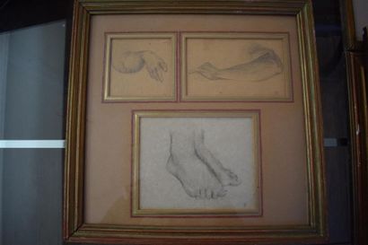 Dessins - Oeuvres sur papier Ecole FRANCAISE du XIXe siècle Etudes anatomiques Crayon...