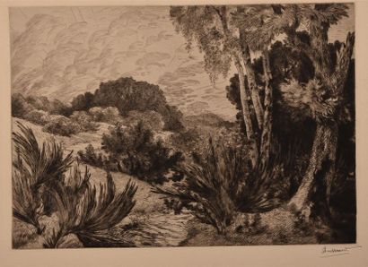 Félix BRACQUEMOND (1833-1914) * Grand paysage
Eau-forte, belle épreuve sur papier...