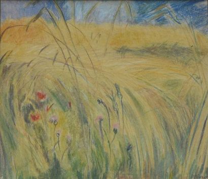 null Edith BERGER (1900-1994)

Le champ de blé

Pastel signé en bas à droite

H....