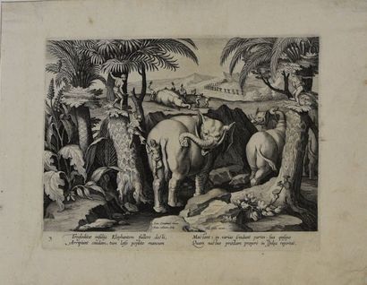 null D'après Johannes STRADANUS (1523 - 1605) Scènes de pêche et chasse à l'éléphant,...