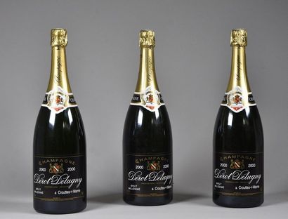 null 3 Mag CHAMPAGNE BRUT (1 e.l.a.) Dérot-Delugny 2000