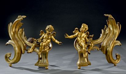 null Paire de chenets en bronze et bronze doré à décor de putti assis sur des volutes,...