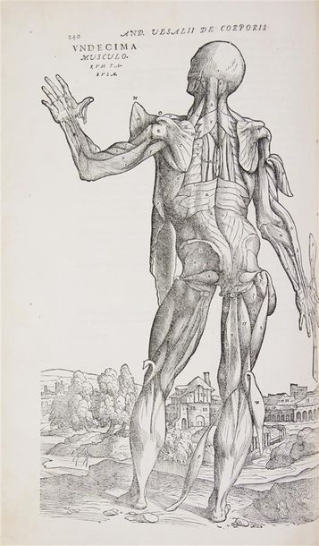 VESALE (Andréas). DE HUMANI CORPORIS FABRICA.
Bâle, Jean Oporin, 1555. Fort volume...