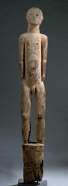null Statue Tonj, Bongo - SOUDAN
Bois
H. 151 cm

Provenance
Max Itzikowitz, Paris

Bibliographie
Waltraud...