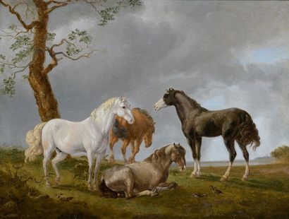 null Ecole HOLLANDAISE du XVIIIe siècle

Groupe de chevaux dans un paysage

Huile...