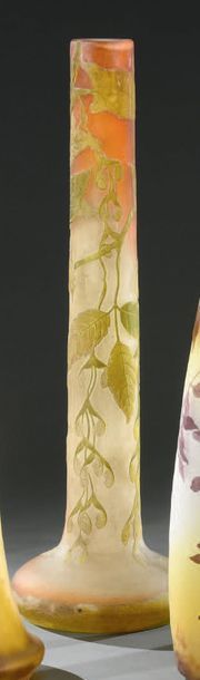 Établissements GALLÉ (1904-1936) Érable Negundo
Spectaculaire vase oignon; la base...