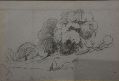 null Théodore RAVANAT (1812-1883) Paysage aux arbres Crayon monogrammé en bas à droite....