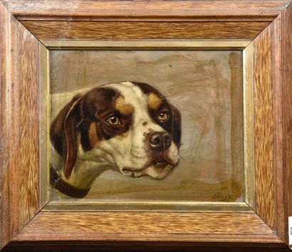 null Claudius SEIGNOL (1858-1926) Tête de chien de chasse Huile sur panneau signée...
