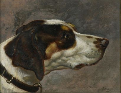 null Claudius SEIGNOL (1858-1926) Portrait de chien de chasse. Huile sur panneau...