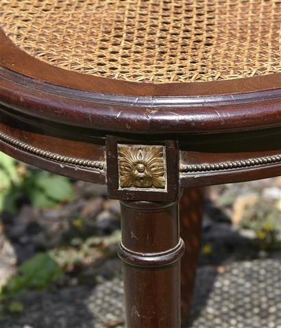 null Suite de trois chaises cannées à dossier médaillon en acajou, à décor en bronze...