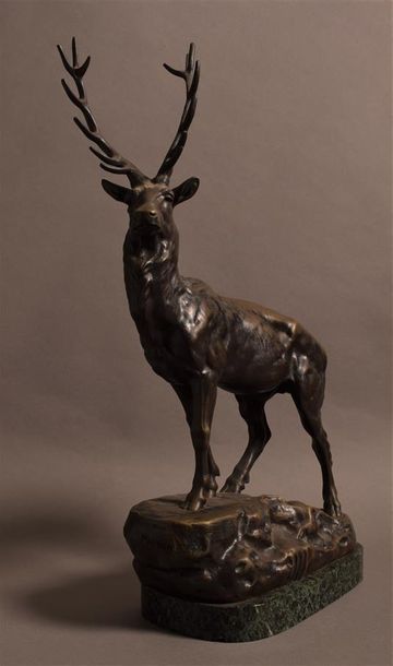 null Clovis Edmond MASSON (1838-1913) Cerf aux aguets Epreuve en bronze à patine...