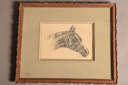 null Eugène VERBOECKHOVEN (1798/99-1881) Etude de tête de cheval Mine graphite, monogrammé...