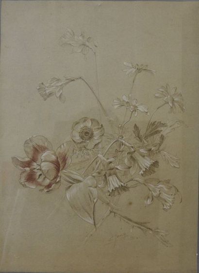 Charles Jung (1865-1936) Bouquet d'anémones et jonquilles, 1914
Dessin au trois crayons...