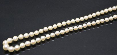 null Collier de perles de culture en légère chute, fermoir en or gris 18k (750°/°°)...