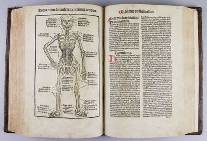 (H)ORTUS SANITATIS. (Strasbourg, J. Pruss, 1497).
In folio (296 x 200 mm) de 338...