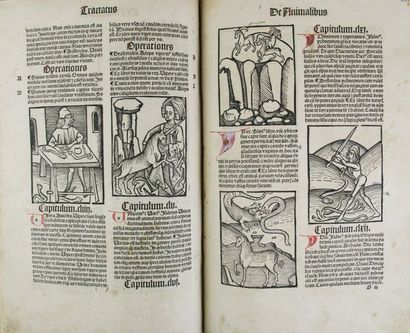 (H)ORTUS SANITATIS. (Strasbourg, J. Pruss, 1497).
In folio (296 x 200 mm) de 338...