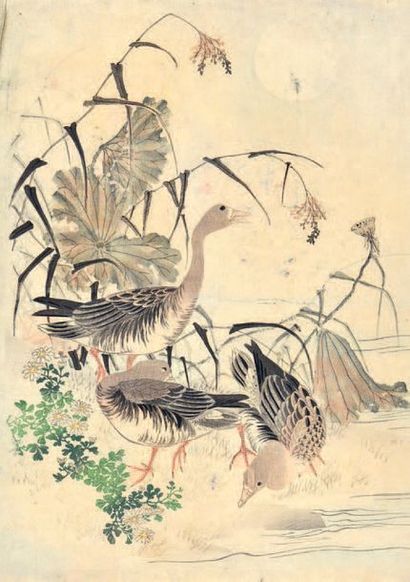 JAPON - Époque MEIJI (1868- 1912) Estampe sur papier représentant trois canards sous...