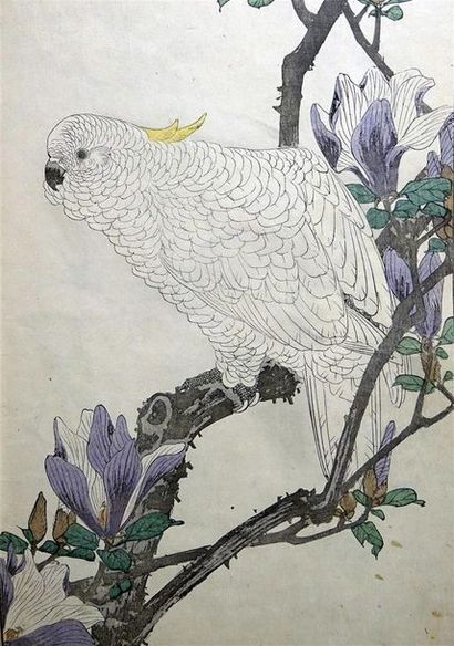 JAPON - Époque MEIJI (1868- 1912) Oiseaux des quatre saisons sur les arbres en fleurs
Ensemble...