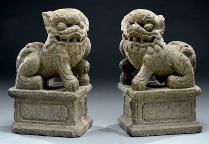 CHINE - Début du XIXe siècle Paire de chiens de Fo en grès, se tenant assis sur des...