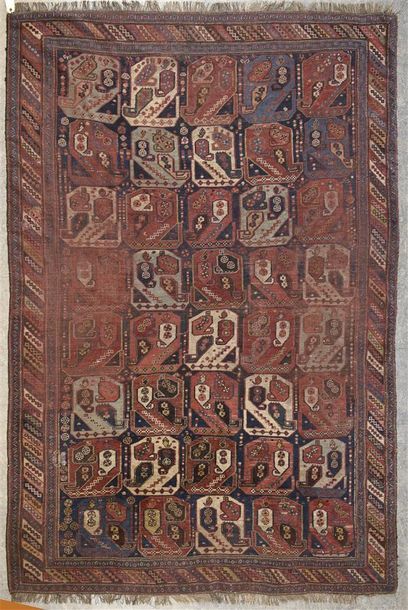 null KACHGAY - PERSE Tapis en laine sur chaîne à motif boteh Epoque 1900 H. 250 cm...