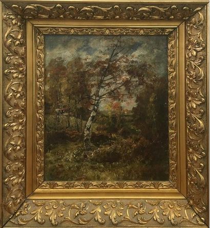 null Jean-Aimé SAINT-CYR GIRIER (1837-1911/12) Paysage de sous-bois Huile sur toile...