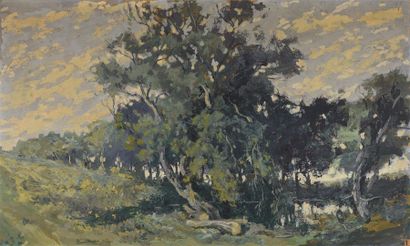 Eugène BROUILLARD (1870-1950) Paysage
Huile sur panneau, signée en bas à gauche,...
