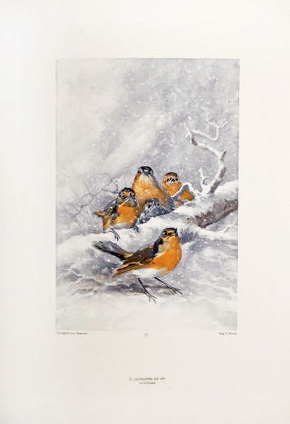 THEURIET (A.) Nos oiseaux.
Paris, Launette, 1886.
In-4°, demi-maroquin bleu pétrole...